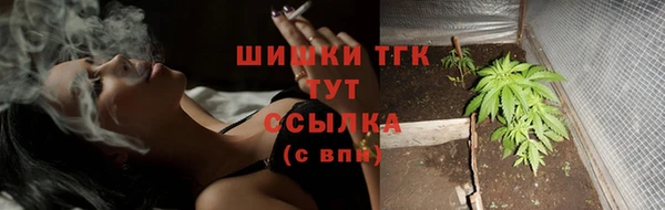 mdpv Волоколамск