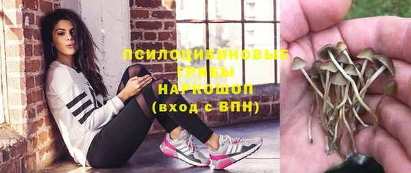 apvp Волосово