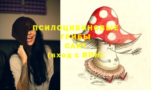 apvp Волосово