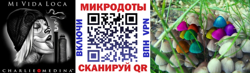 купить наркоту  Калач  Псилоцибиновые грибы Magic Shrooms 